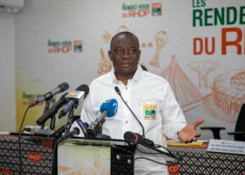 Passage du Rhdp de coalition en parti unifié en 2019/Adjoumani formel: « si précipitation il y a eu, elle nous réussit »