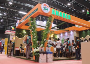 Sara 2025/ Journée des métiers: Quand l’Anader tend la main aux jeunes