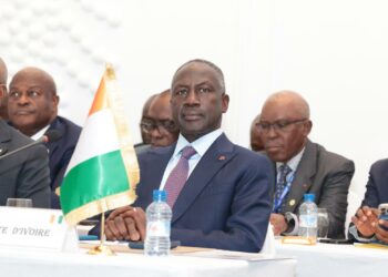 31e Assemblée régionale Afrique de l’APF à Cotonou : Le Pan Bictogo prend part aux travaux