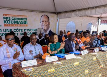 Bacongo à l&rsquo;ouverture des travaux en commission du Pré-congrès du Rhdp: « Koumassi restera un bastion imprenable »