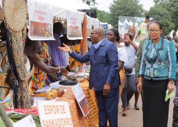3e édition du Festival national des jeux traditionnels:  Korhogo a vibré 