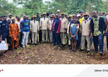 Touba: Journée nationale de l’arbre:  Un appel au reboisement lancé aux populations du Bafing