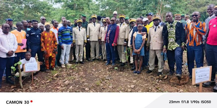 Touba: Journée nationale de l’arbre:  Un appel au reboisement lancé aux populations du Bafing