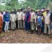 Touba: Journée nationale de l’arbre:  Un appel au reboisement lancé aux populations du Bafing