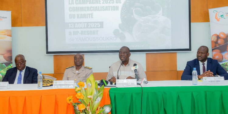 Campagne 2025–2026 du karité: Le kilo fixé à 250 FCFA
