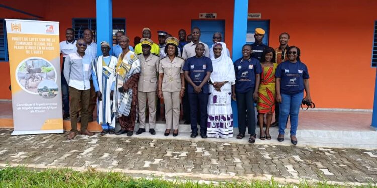 Tengrela/Commerce illégal des ânes : INADES-Formation sonne la sonnette d’alarme