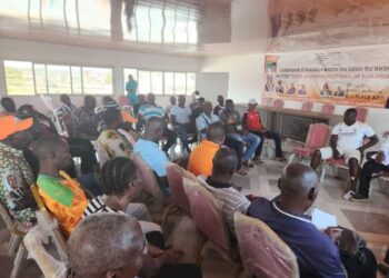 Présidentielle 2025 : Le RHDP lance sa campagne à San Pedro