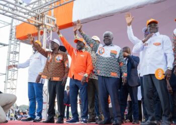 Yakro/Victoire d’ADO: Les mouvements de soutiens et associatifs du Rhdp font une démonstration de force