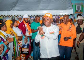 RHDP Koumassi : La Coordination Régionale aux contacts des populations Akan, du Woroba, Poro et de la Bagouè