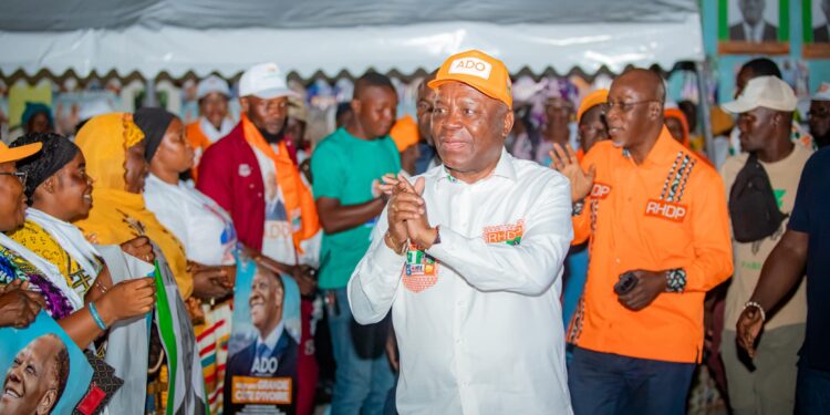 RHDP Koumassi : La Coordination Régionale aux contacts des populations Akan, du Woroba, Poro et de la Bagouè