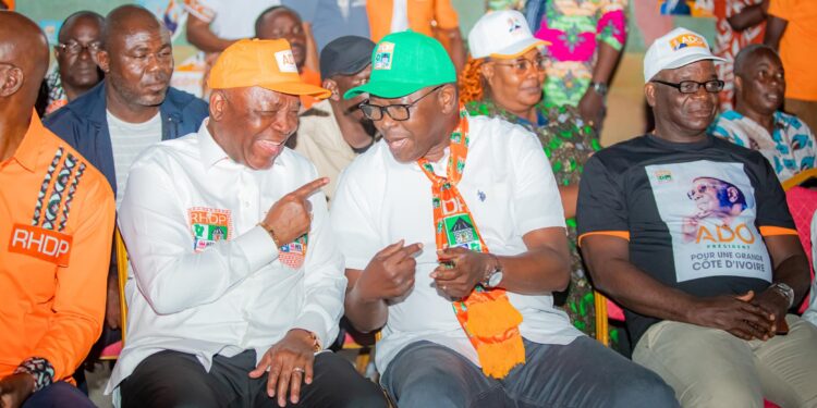 RHDP Koumassi: La Coordination Régionale s’entretient avec les populations du Grand Ouest