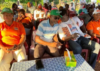 Présidentielle 2025/Victoire d’ADO: Louis Habonouan mobilise les 7 cantons Baoulé de Bouaké