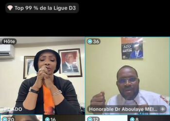 Présidentielle 2025 /6ᵉ meeting en ligne: Le PE-ADO mobilise plus de 20.000 internautes