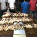 Trafic d’espèces protégées: 10 personnes interpellées avec 7 peaux de panthère, 6 crânes de panthères et 40 kg d’ivoire