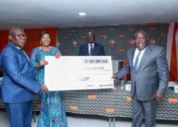 Campagne présidentielle 2025: Les sénateurs Rhdp apportent une contribution financière