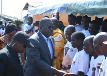 Législatives 2025: Didoko réaffirme son soutien à Amédé Kouakou