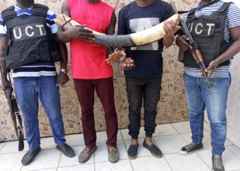 Côte d’Ivoire : La difficile lutte contre le trafic des espèces sauvages protégées 