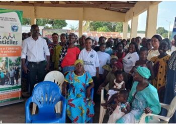 Lutte contre le paludisme: 56 femmes de Nofou (Dimbokro) sensibilisées