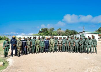 Bélier-Feux de brousse et braconnage : Le ministère des Eaux et forêts engage la lutte