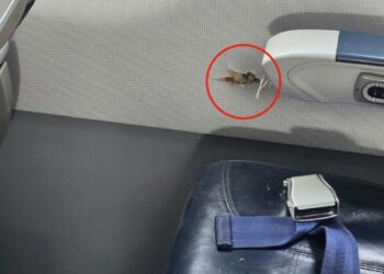 Niger: Un avion d’Air Côte d’Ivoire criblé de balles, la compagnie rassure