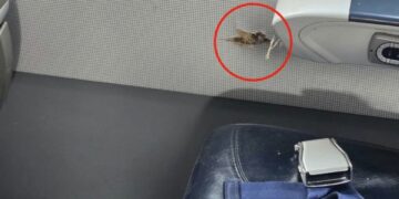 Niger: Un avion d’Air Côte d’Ivoire criblé de balles, la compagnie rassure