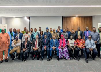 Atelier de validation du Plan stratégique régional de Santé numérique de la CEDEAO