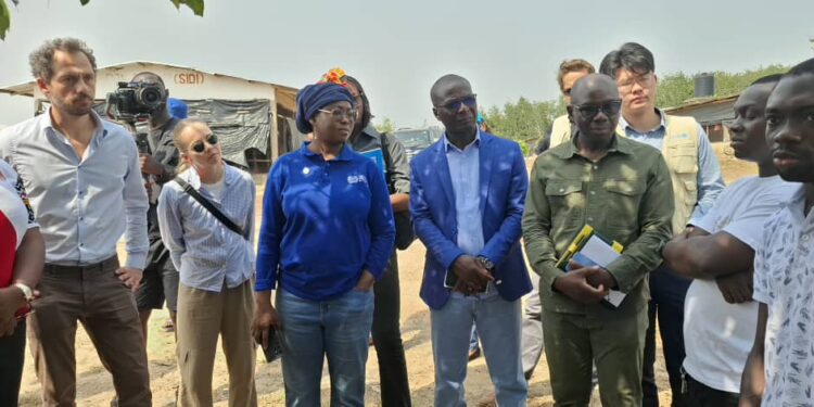 Côte d’Ivoire/Lutte contre le travail des enfants: ENACTE, une phase 1 réussie portée par les Nations Unies