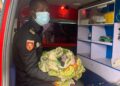Bouaké : un nouveau-né abandonné dans une décharge, sauvé par les pompiers 