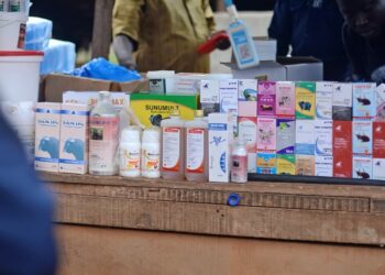 Lutte contre la vente illégale de médicaments vétérinaires en Côte d’Ivoire : une opération musclée pour protéger la santé publique
