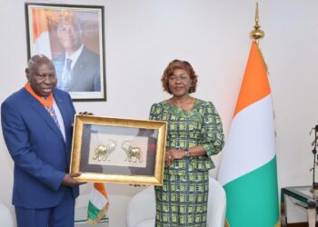 Diplomatie : l’ambassadeur du Tchad fait ses adieux à Nialé Kaba et élevé au rang de Commandeur