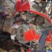 Autoroute du Nord: Une collision fait 5 morts