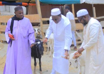 Attécoubé/ Tabaski 2026: Danho Paulin offre plus de 200 moutons aux Musulmans