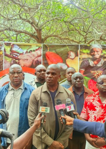 Djédri-ville : La campagne de réhabilitation des vergers denses d&rsquo;anacardiers officiellement lancée