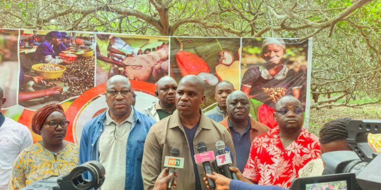 Djédri-ville : La campagne de réhabilitation des vergers denses d&rsquo;anacardiers officiellement lancée
