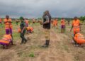 Préservation du couvert forestier ivoirien: Les stagiaires volontaires de l&rsquo;OSCN mobilisés