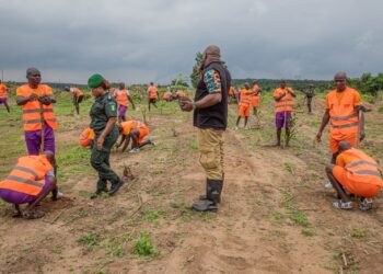 Préservation du couvert forestier ivoirien: Les stagiaires volontaires de l&rsquo;OSCN mobilisés