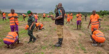 Préservation du couvert forestier ivoirien: Les stagiaires volontaires de l&rsquo;OSCN mobilisés