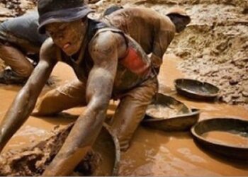 Lutte contre l’orpaillage illégal : L’Ong Action Justice exige une « réponse ferme » du gouvernement