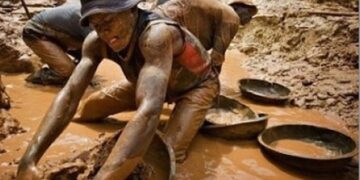 Lutte contre l’orpaillage illégal : L’Ong Action Justice exige une « réponse ferme » du gouvernement