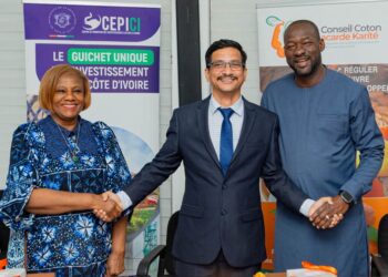 Anacarde : 3 structures s’unissent pour produire du cardanol à partir des coques de cajou