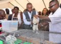 Gagnoa / Produits animaux : la campagne nationale d’approvisionnement des marchés lancée