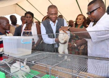 Gagnoa / Produits animaux : la campagne nationale d’approvisionnement des marchés lancée