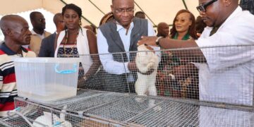 Gagnoa / Produits animaux : la campagne nationale d’approvisionnement des marchés lancée