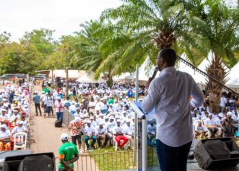 PDCI-RDA / Rentrée politique du REM à Daoukro: Marchal Balou réclame des réformes