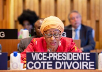 UNESCO : la Côte d’Ivoire porte les priorités du Groupe Afrique au Conseil exécutif