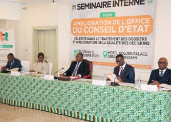 Procédures, dossiers en attente… Le Conseil d’État prend de fortes mesures