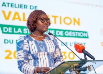 Entreprises publiques: Un nouveau dispositif pour rapprocher PCA et DG
